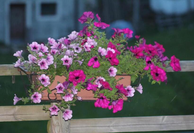 חדר סטנדרט, Albergo Bellaria