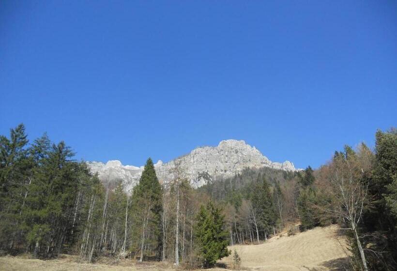 חדר סטנדרט לשלושה, Albergo Bellaria