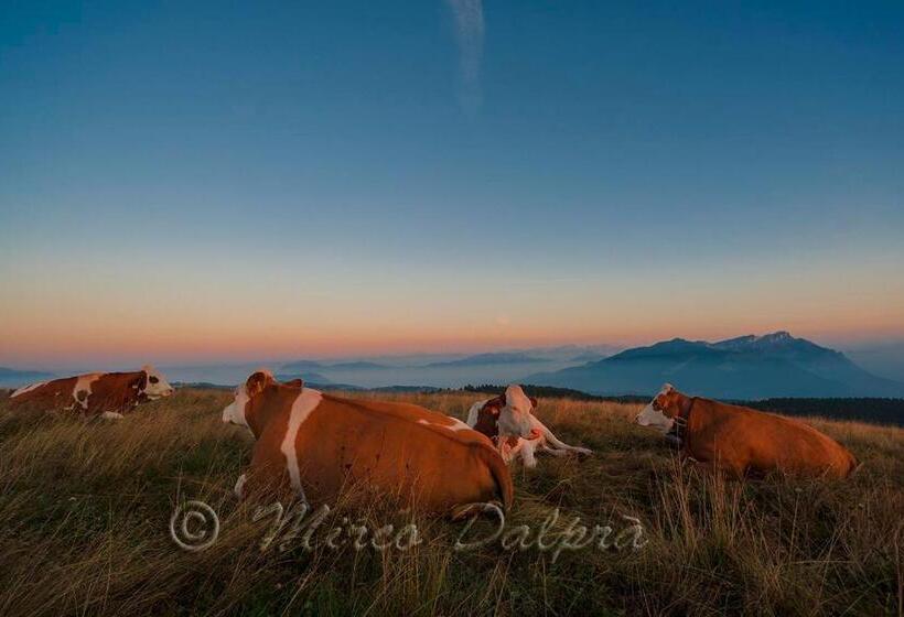 חדר סטנדרט לשלושה, Albergo Bellaria