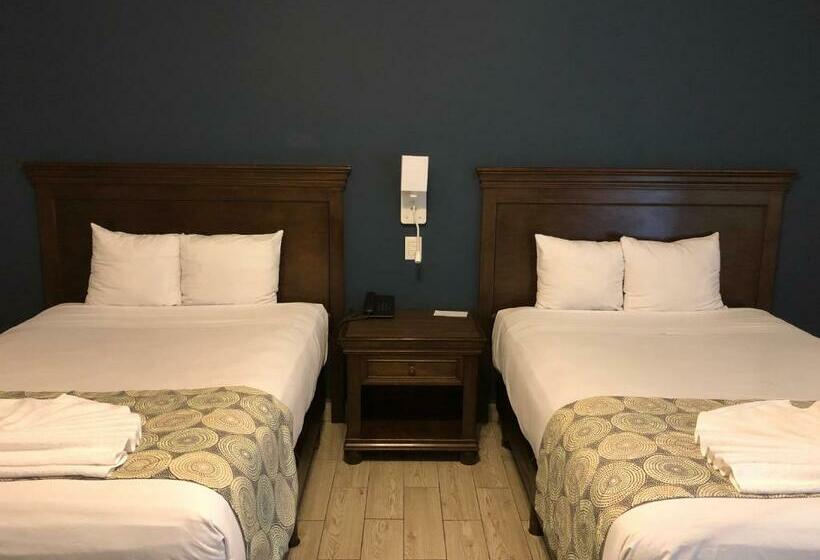 חדר סטנדרט, Las Margaritas Merida