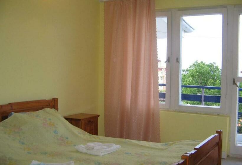 标准间带阳台, Strajica