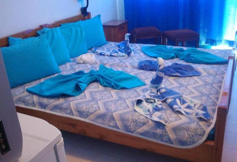 标准间带阳台, Strajica