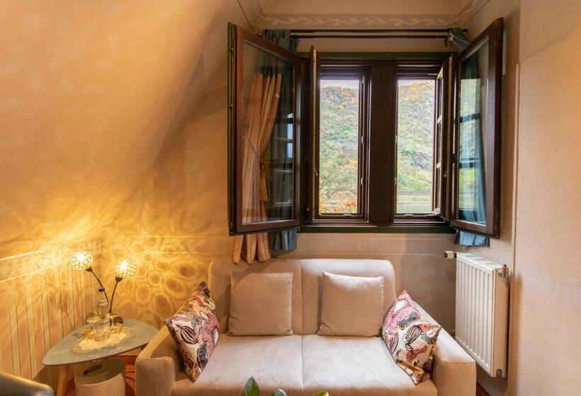 Номер Стандарт Вид на Реку, Weiler