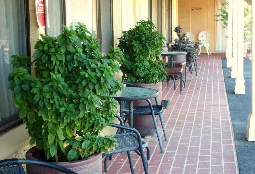 غرفة قياسية فردية, Murray River Motel