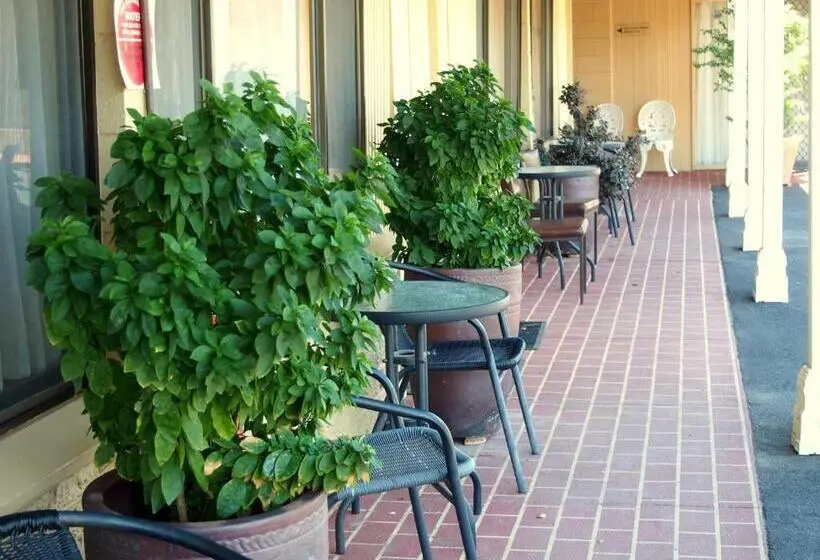 スタンダードシングルルーム, Murray River Motel