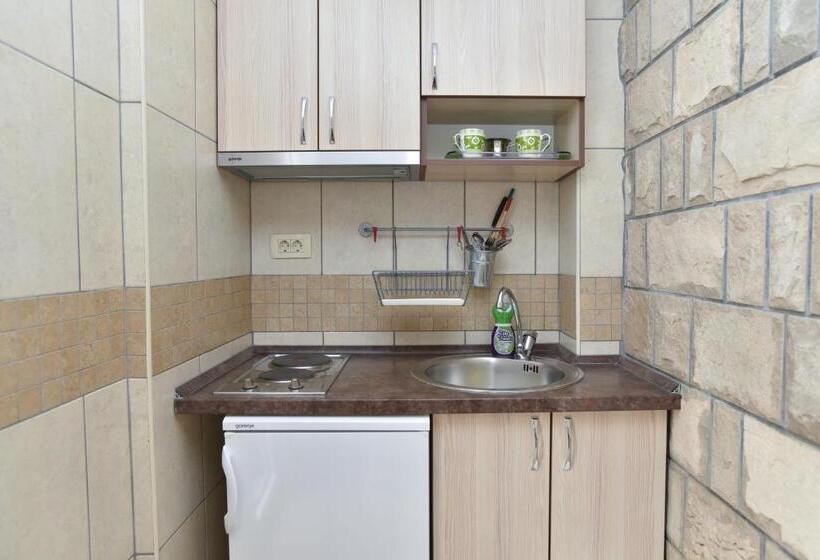 استودیو استاندارد با چشم‌انداز باغ, Apartments And Rooms Drago
