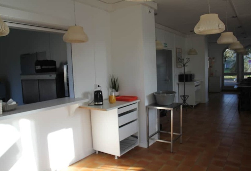 Pokój Czteroosobowy Standard, Auberge De Jeunesse D Orleans