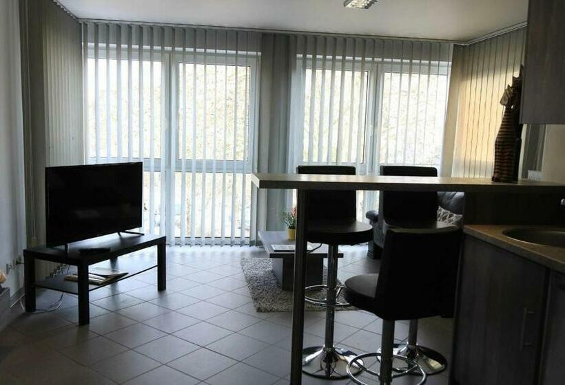 شقة غرفة واحدة, Komfort Appartements Am Marktplatz