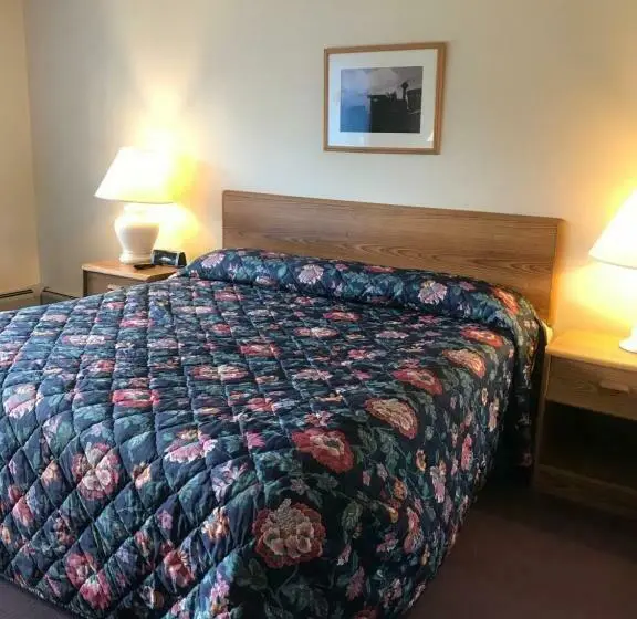 キングサイズベッドのスタンダードルーム, Four Seasons Motor Inn