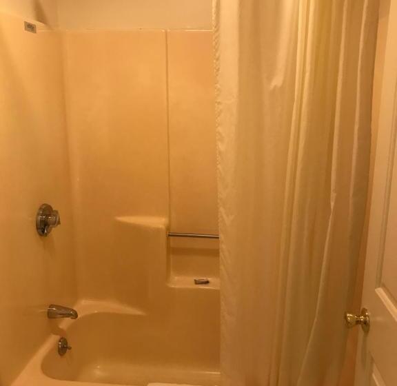 غرفة ديلوكس سرير كينج, Four Seasons Motor Inn