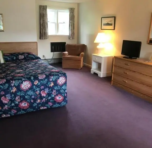 キングサイズベッドのデラックスルーム, Four Seasons Motor Inn