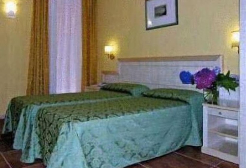 4인용 스탠다드 룸, Belvedere