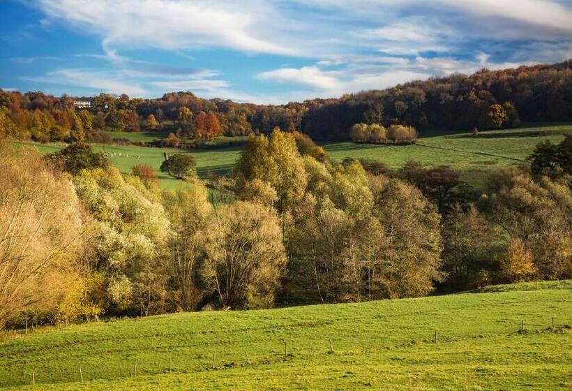 جناح جونيور مزوَّد بتراس, Klein Zwitserland