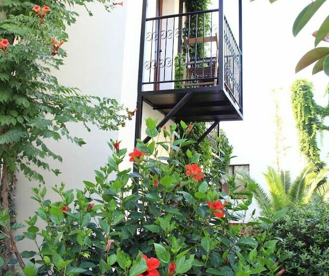 غرفة قياسية, Paloma