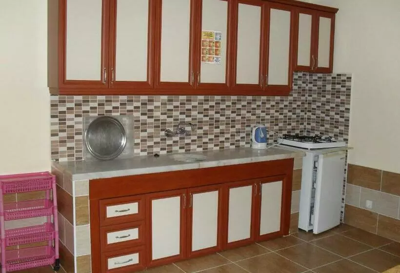 １ベッドルームドゥプレックスアパートメント, Villa Ozalp Apartments