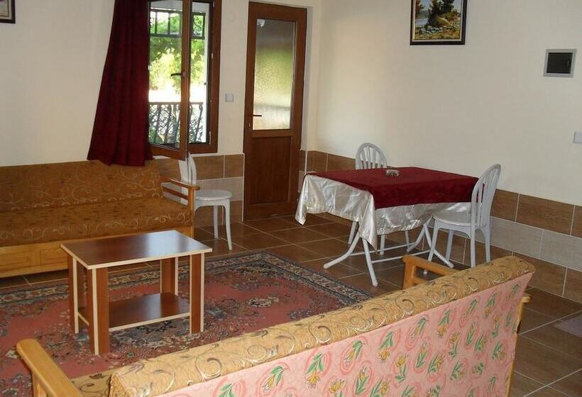 带1个卧室的公寓, Villa Ozalp Apartments