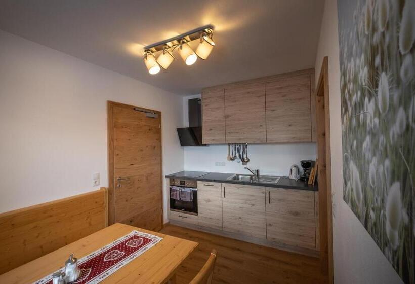 带1个卧室的公寓, Landhaus Birgit