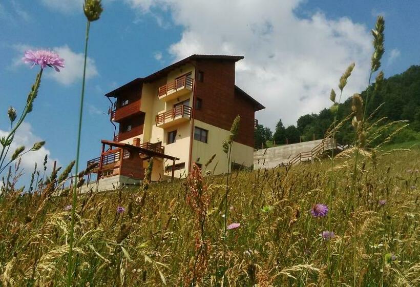 חדר סטנדרט עם מרפסת, Pensiunea Daria