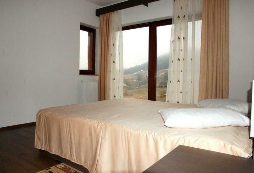 חדר סטנדרט עם מרפסת, Pensiunea Daria