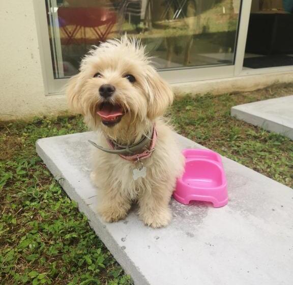 침실 1개 아파트, Villa Privada Con Jacuzzi Herradura Jaco