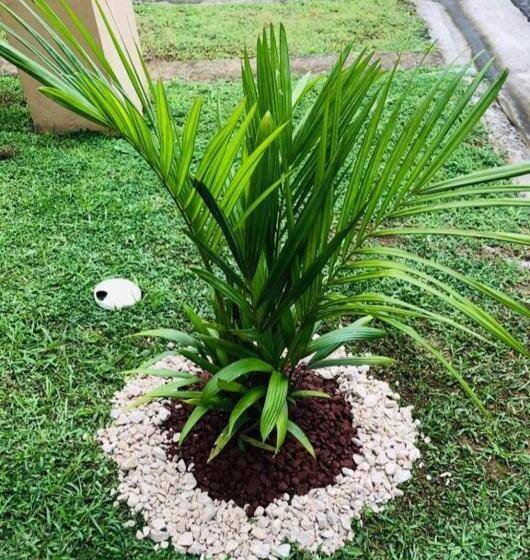 침실 1개 아파트, Villa Privada Con Jacuzzi Herradura Jaco