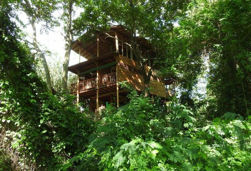 带大床的豪华间, River Side Cabana