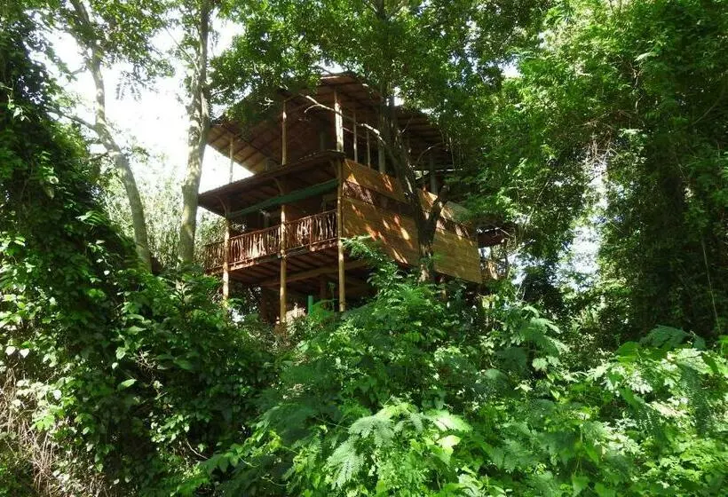 キングサイズベッドのデラックスルーム, River Side Cabana