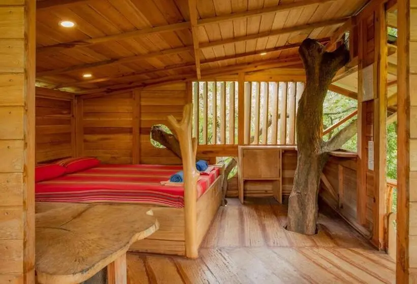 １ベッドルームハウス, River Side Cabana