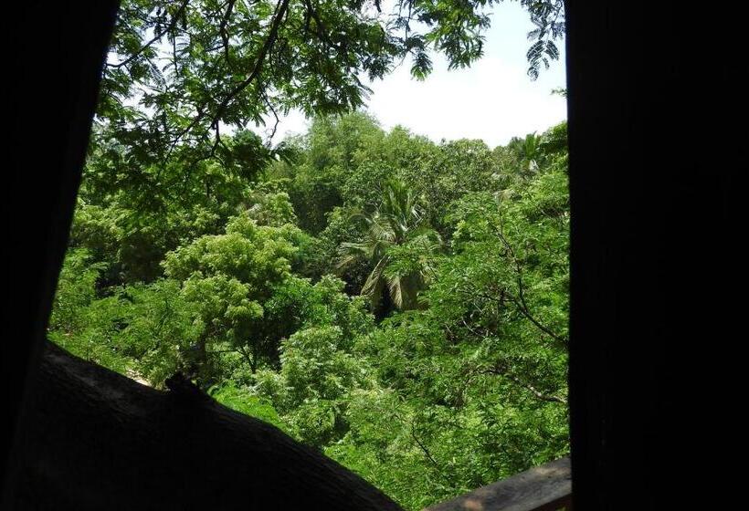 1间卧室的房子, River Side Cabana