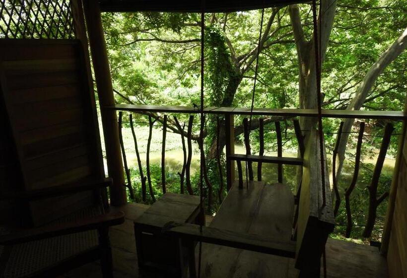 带大床的豪华间, River Side Cabana