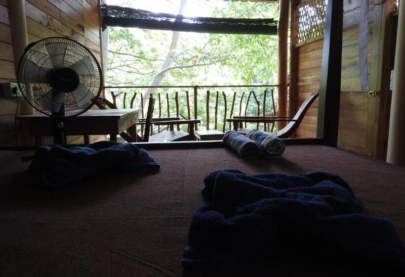 带大床的豪华间, River Side Cabana