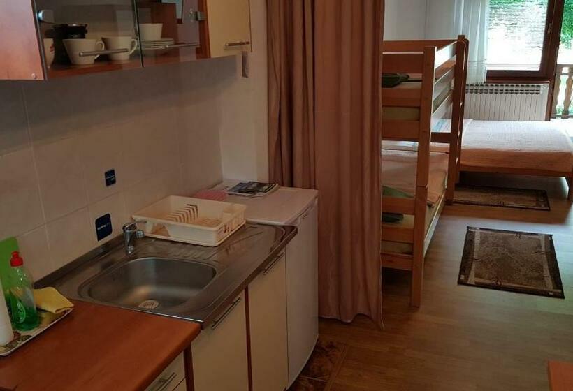 إستوديو قياسى, St George B&b