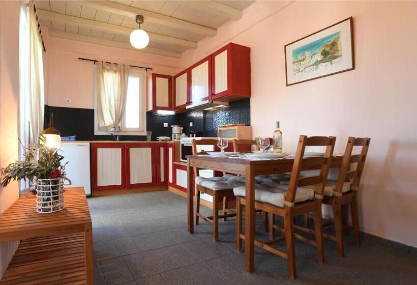 带海景的标准工作室, Glafki Hotel Tinos