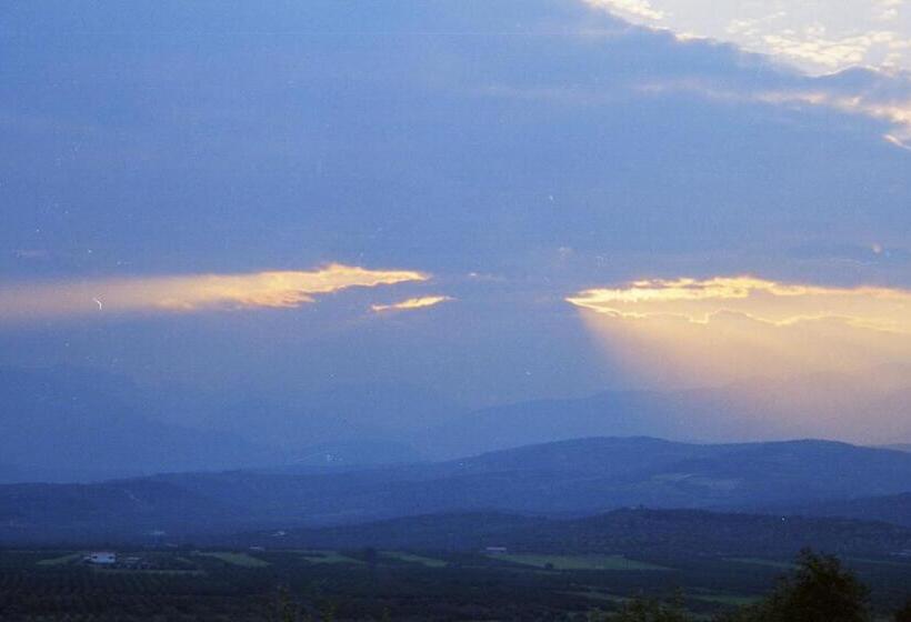 Номер Стандарт, La Petite Planete