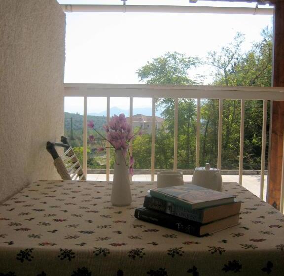 Номер Стандарт, La Petite Planete