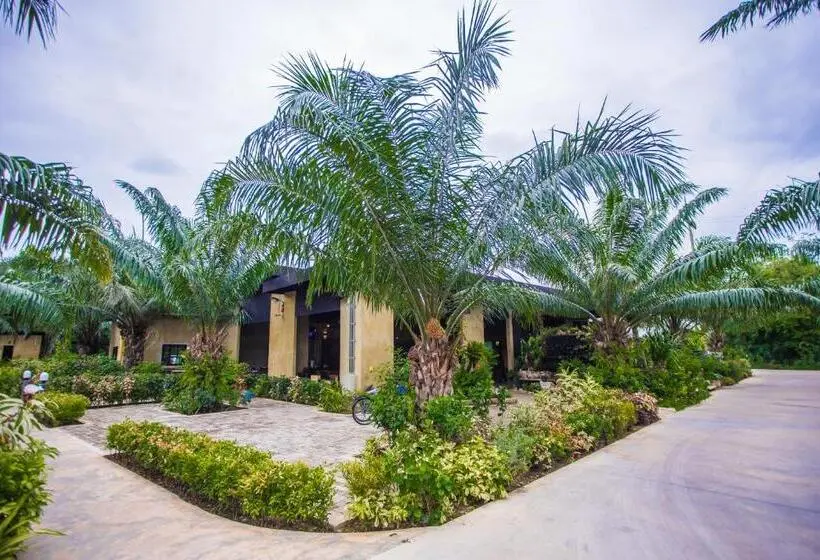 اتاق استاندارد با تخت بزرگ, Palm Pran Resort