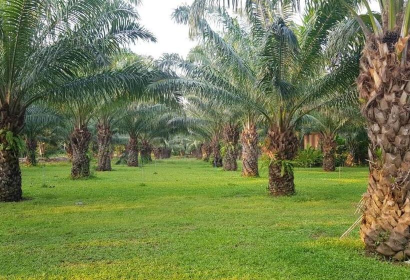 패밀리 룸, Palm Pran Resort