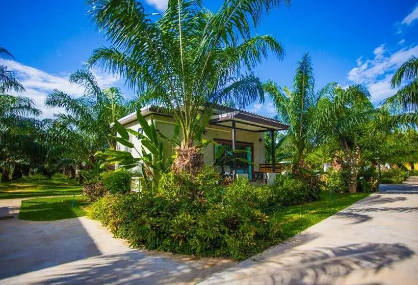 اتاق استاندارد, Palm Pran Resort