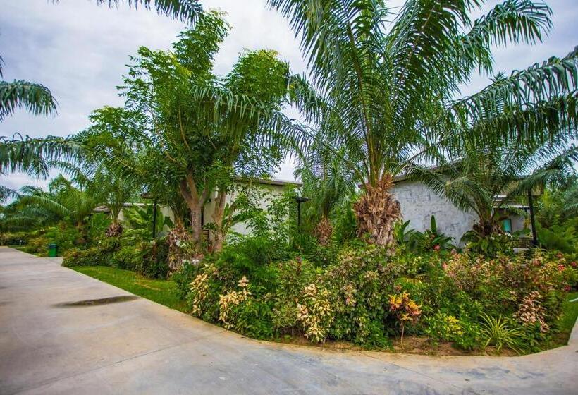 Standart Oda, Palm Pran Resort