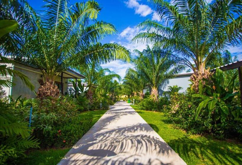 스탠다드 룸, Palm Pran Resort