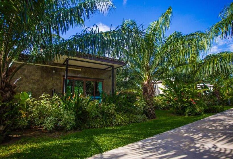 Dört Kişilik Standart Oda, Palm Pran Resort