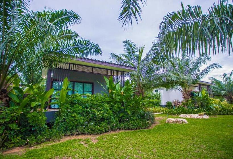 Basic Oda, Palm Pran Resort