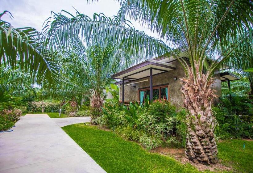 Basic Oda, Palm Pran Resort