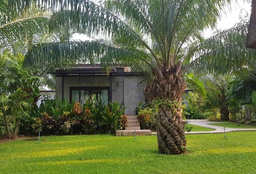 Büyük Çift Kişilik Yataklı Standart Oda, Palm Pran Resort