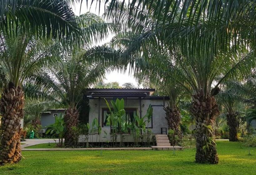 Dört Kişilik Standart Oda, Palm Pran Resort