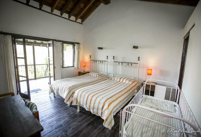 غرفة عائلية, Ambelikos Traditional Agro