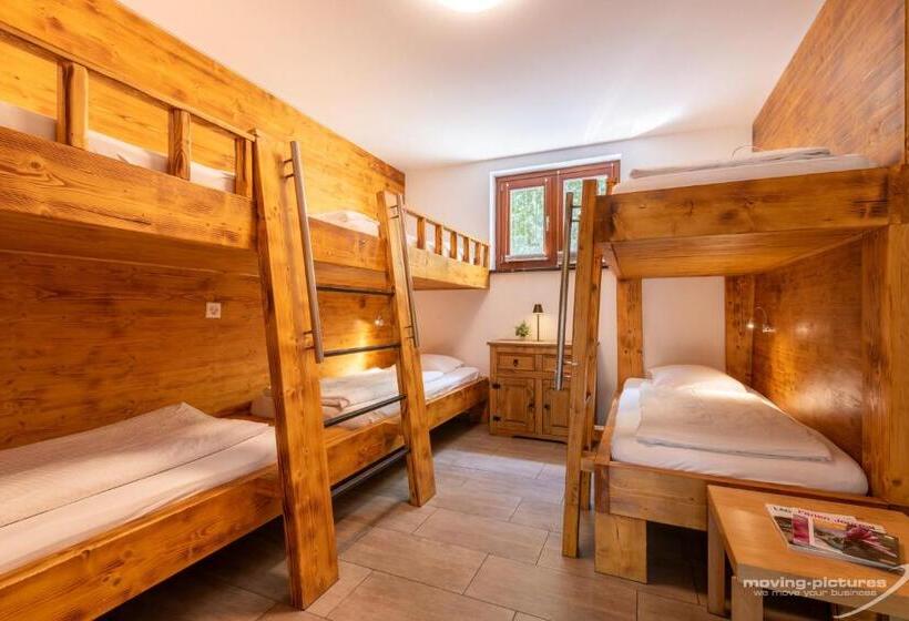 Апартаменты 1 Спальня Вид на Сад, Bamboohouse Motel Riazzino