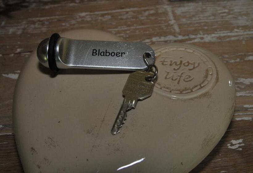 デラックスルーム, Erve 't Hacht