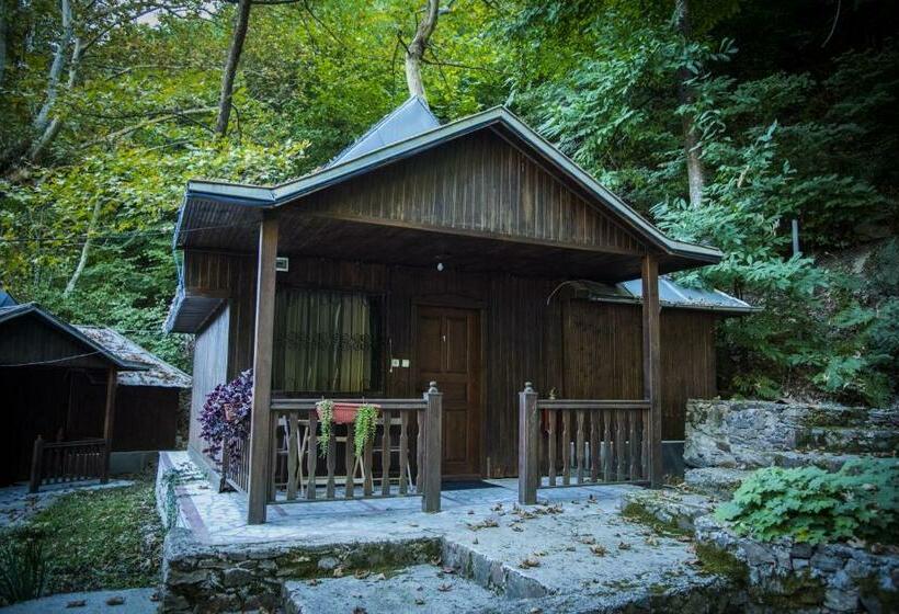 スタンダードバンガロー, Saint Nedelya