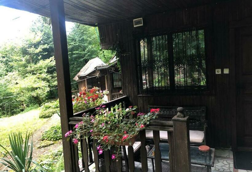 스탠다드 방갈로, Saint Nedelya
